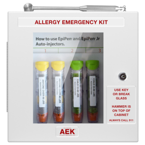 Allergy Emergency Wall Cabinet with Lock/Hammer