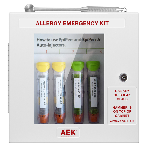 Allergy Emergency Wall Cabinet with Lock/Hammer